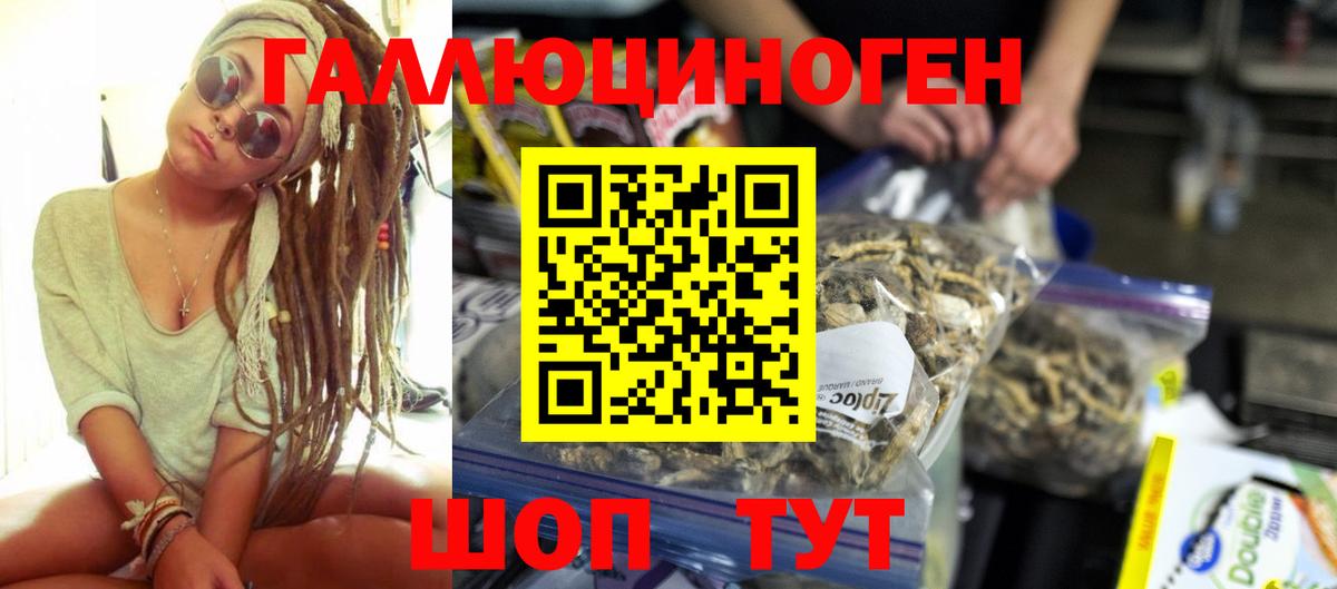 Галлюциногенные грибы Psilocybine cubensis Орехово-Зуево